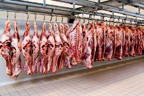 تحویل گوشت دولتی به هیئت‌ها در چند مرحله انجام می‌‎شود